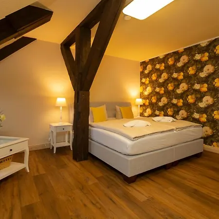 Drostenhaus Feldberg فيلدبرج