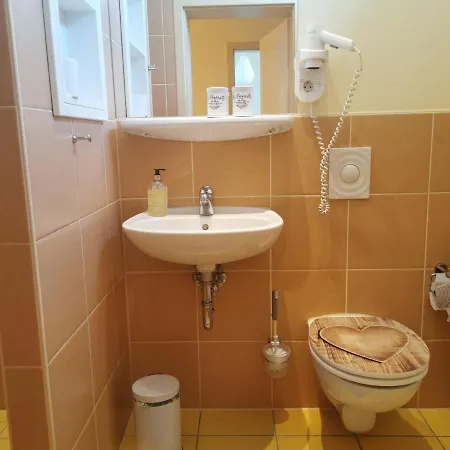 Drostenhaus Feldberg * فيلدبرج